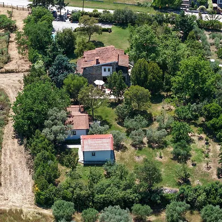 Vila Stefania Garden - 3 Minutes From The Sea Nea Iraklia